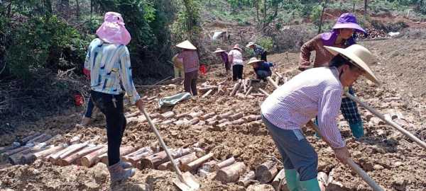 茯苓冬季钓鱼怎么样，茯苓冬季钓鱼怎么样好用吗-图1