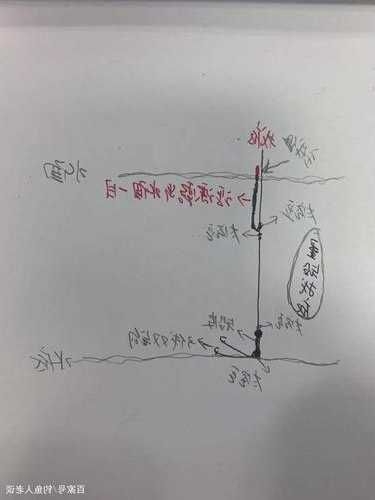 江中间钓鱼怎么样，江里面钓鱼怎么调漂-图3