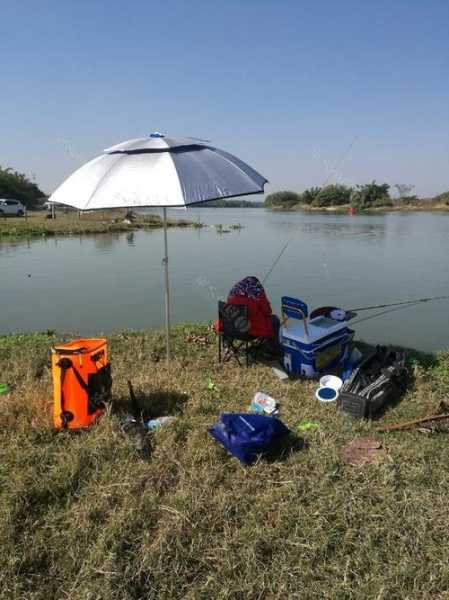 枝江下雨钓鱼怎么样，枝江下雨钓鱼怎么样好钓吗！-图3