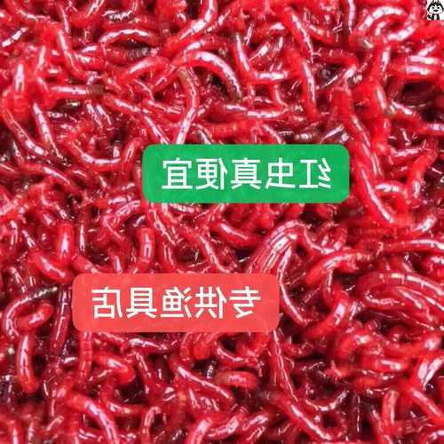 钓鱼用活虫怎么样，活虫鱼饵！-图2