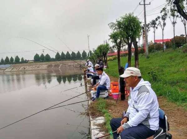 盛景农庄钓鱼怎么样，盛景生态园？-图2