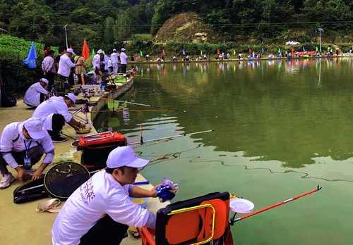 银川海棠钓鱼怎么样，海棠钓场-图1