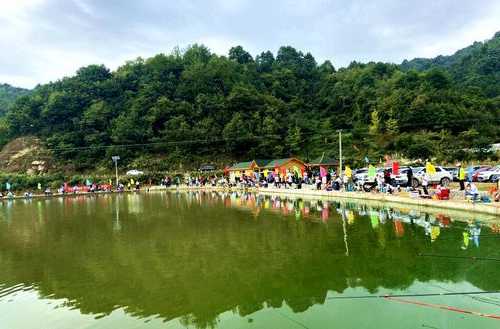 银川海棠钓鱼怎么样，海棠钓场-图3