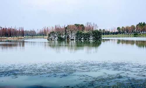 艾溪湖钓鱼怎么样，艾溪湖湿地公园在哪？-图3