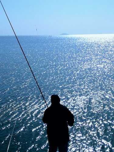 河海大桥钓鱼怎么样，河海大海？-图3