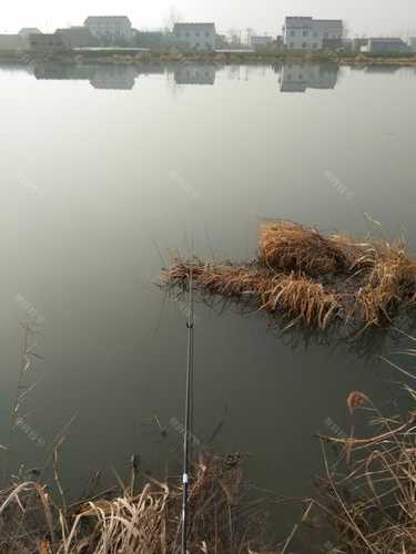 大河岔口钓鱼怎么样？大河旁边的岔口钓鱼？-图3