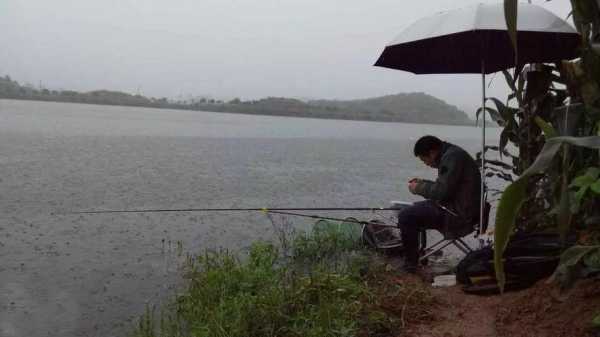 雨天适合怎么样钓鱼，雨天适不适合钓鱼-图1