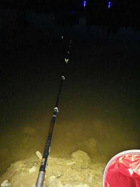 冬天晚上怎么样钓鱼，冬天晚上怎么钓鱼鱼容易上钩-图2