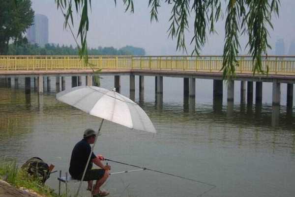 黄河阴天钓鱼怎么样，黄河阴天钓鱼怎么样好钓吗-图2