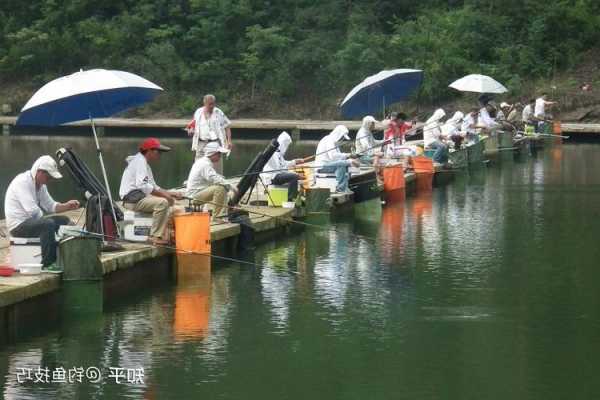 临邑顾家钓鱼怎么样，临邑顾家钓鱼怎么样知乎？-图2