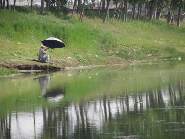 南阳夏天钓鱼怎么样，南阳夏天钓鱼怎么样啊！-图2