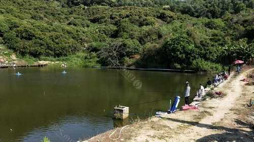 深圳水库钓鱼怎么样，深圳水库野钓？-图1