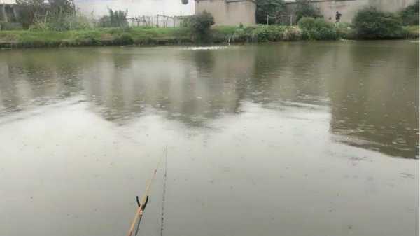 广东小雨钓鱼怎么样，小雨钓鱼视频-图3
