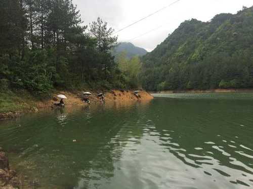 水库河沟钓鱼怎么样，水库河沟钓鱼怎么样好钓吗？-图3