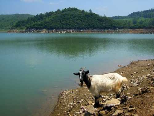 修水河里钓鱼怎么样，修水钓鱼的地方-图1