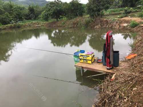 修水河里钓鱼怎么样，修水钓鱼的地方-图3