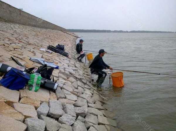 渭河最近钓鱼怎么样，渭河可以玩路亚吗？-图2
