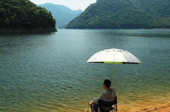 伏天中雨钓鱼怎么样，伏天钓鱼钓深还是钓浅！-图1