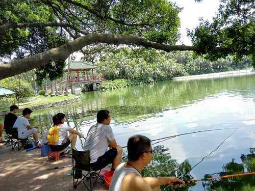 广州小区钓鱼怎么样，广州干净的钓鱼点！-图3