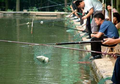 包罗水库钓鱼怎么样，包罗水库钓鱼怎么样呀？-图3