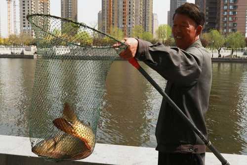 红桥吃饭钓鱼怎么样，天津市红桥区有什么好吃的-图2
