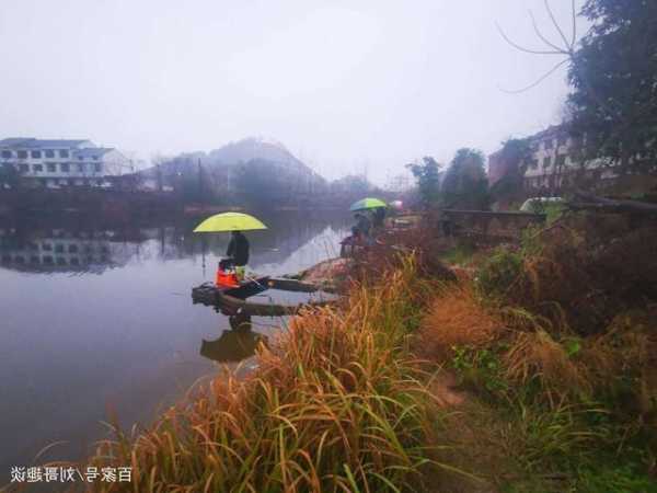 深秋钓鱼雨天怎么样，深秋钓雨前还是雨后？-图3