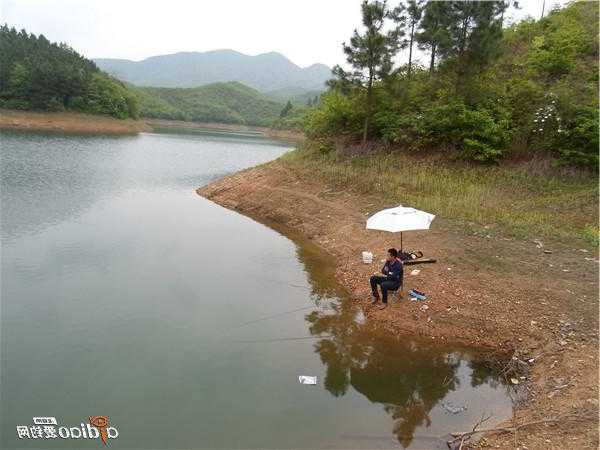 承包水库钓鱼怎么样，承包水库如何赚钱？-图3