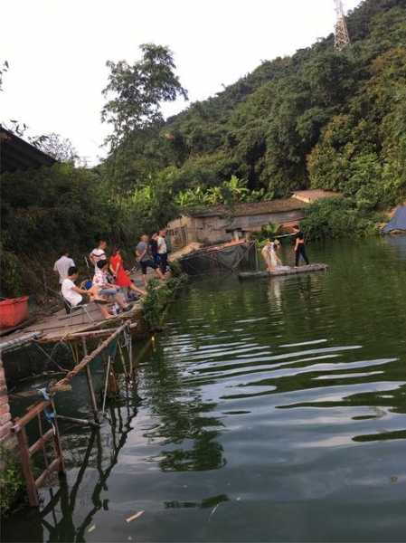 后金山钓鱼怎么样，金山垂钓基地！-图3