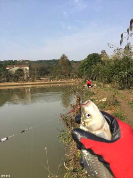 花山小王钓鱼怎么样，花山小王钓鱼怎么样啊？-图3