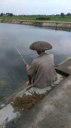 农村钓鱼人怎么样，农村钓鱼真实图片-图3