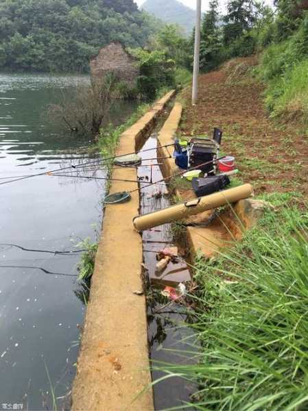 沙田河钓鱼怎么样？沙田水库钓鱼？-图3