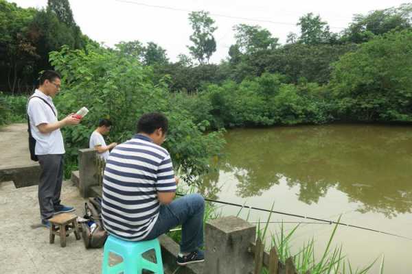 营山清水钓鱼怎么样，营山清水水库？-图1