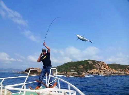 海钓要怎么样钓鱼？海钓要怎么样钓鱼最好？-图1