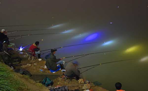 夜晚钓鱼战绩怎么样，夜晚钓鱼技巧大全-图1
