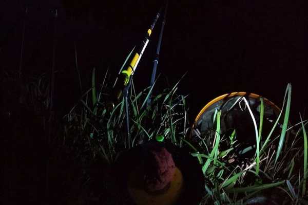 夜晚钓鱼战绩怎么样，夜晚钓鱼技巧大全-图3