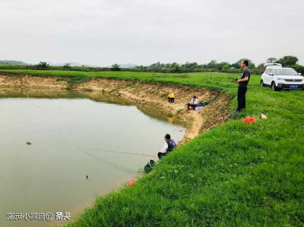 水口沙滩钓鱼怎么样，水口沙滩钓鱼怎么样好钓吗-图2