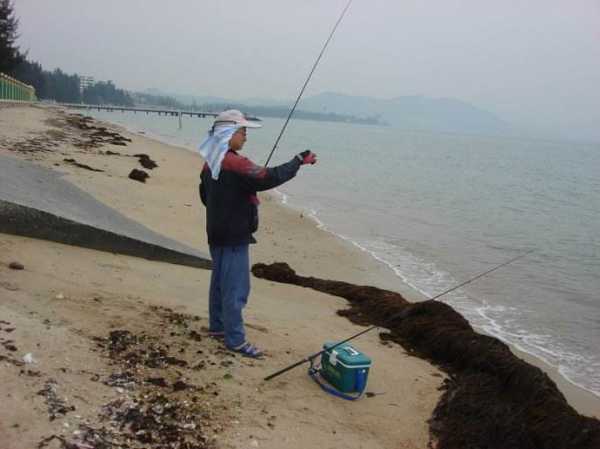 水口沙滩钓鱼怎么样，水口沙滩钓鱼怎么样好钓吗-图3