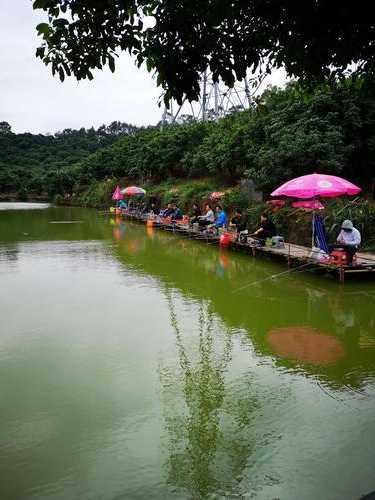 溜溜果园钓鱼怎么样，溜溜果园总部地址-图2