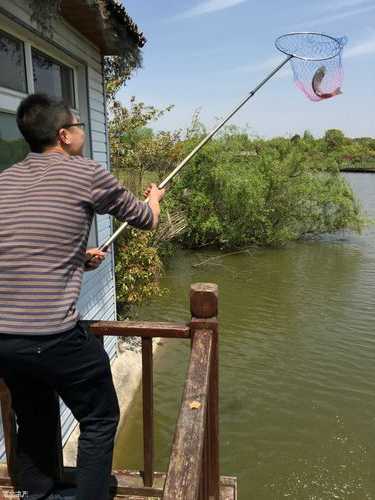 成都菜菜钓鱼怎么样，成都菜菜钓鱼怎么样好钓吗-图1