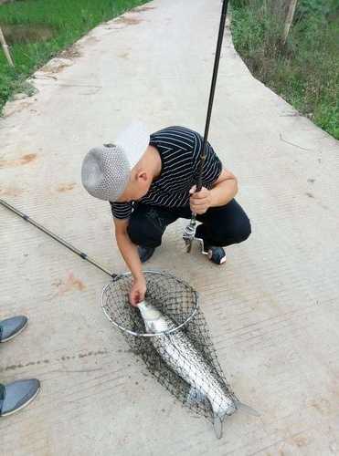 清水休闲钓鱼怎么样，清水鱼怎么钓?-图3