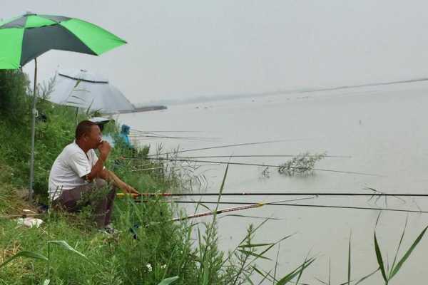 浑河浮桥钓鱼怎么样？沈阳浑河钓点？-图3