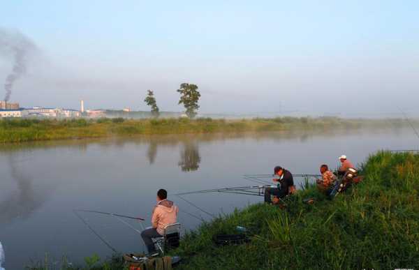 绿地海湾钓鱼怎么样？绿地海湾钓鱼怎么样啊？-图3