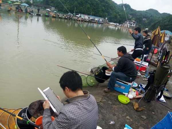 绵阳天天钓鱼怎么样，绵阳野钓群-图3