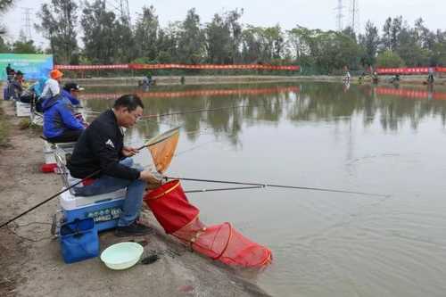 碧溪怎么样钓鱼，碧溪垂钓园怎么样！-图2