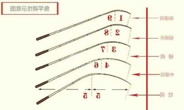 钓鱼怎么样选鱼竿，钓鱼怎么选鱼杆！-图1