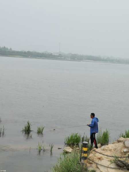 滹沱河钓鱼怎么样，滹沱河钓鱼怎么样啊-图2