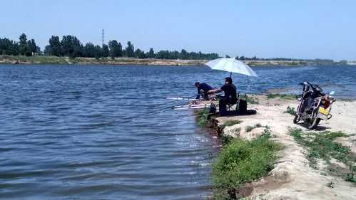 滹沱河钓鱼怎么样，滹沱河钓鱼怎么样啊-图1