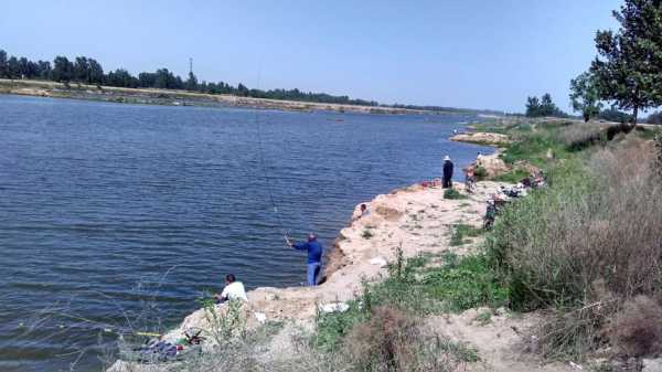 滹沱河钓鱼怎么样，滹沱河钓鱼怎么样啊-图3