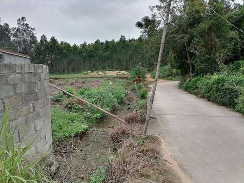 官田水闸钓鱼怎么样，官田村怎么样？-图3