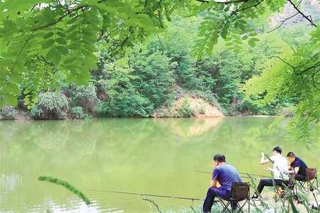 龙泉黄土钓鱼怎么样，龙泉黄土钓鱼怎么样好钓吗-图2